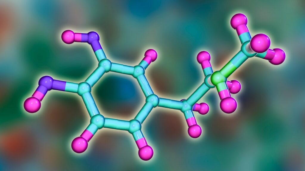 Are Bioidentical Hormones Covered by Insurance in Canada?